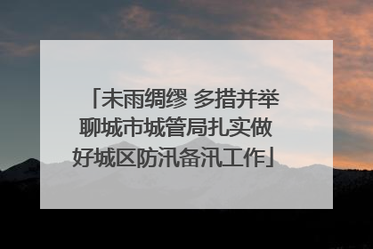 未雨绸缪 多措并举 聊城市城管局扎实做好城区防汛备汛工作