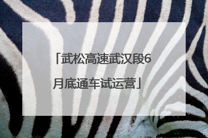 武松高速武汉段6月底通车试运营