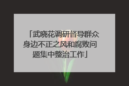 武晓花调研督导群众身边不正之风和腐败问题集中整治工作