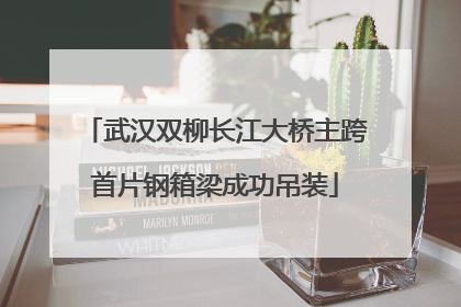 武汉双柳长江大桥主跨首片钢箱梁成功吊装