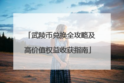 武陵币兑换全攻略及高价值权益收获指南