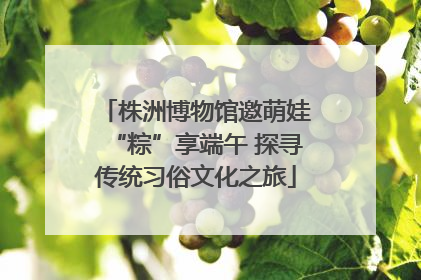 株洲博物馆邀萌娃“粽”享端午 探寻传统习俗文化之旅