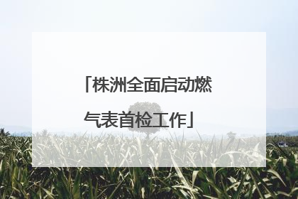 株洲全面启动燃气表首检工作