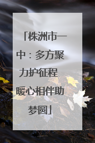 株洲市一中：多方聚力护征程 暖心相伴助梦圆