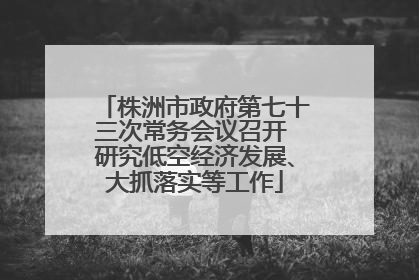 株洲市政府第七十三次常务会议召开 研究低空经济发展、大抓落实等工作
