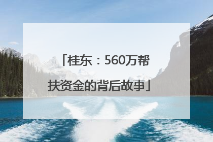 桂东：560万帮扶资金的背后故事