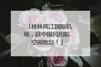 桂林两江国际机场，获中国民用航空局批复！