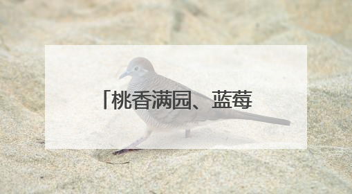 桃香满园、蓝莓压枝 麦熟时节水果也丰收 产业路宽富农家