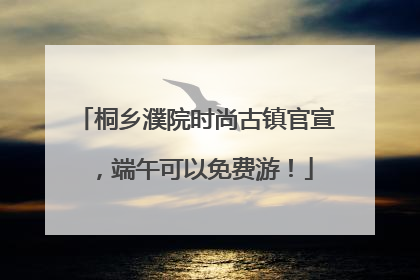 桐乡濮院时尚古镇官宣，端午可以免费游！