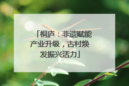 桐庐：非遗赋能产业升级，古村焕发振兴活力
