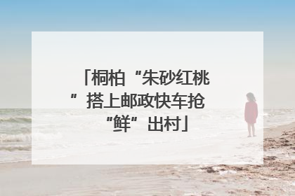 桐柏“朱砂红桃”搭上邮政快车抢“鲜”出村
