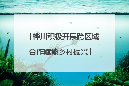 桦川积极开展跨区域合作赋能乡村振兴