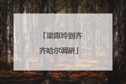 梁惠玲到齐齐哈尔调研