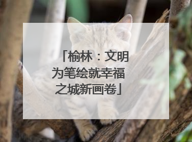 榆林：文明为笔绘就幸福之城新画卷