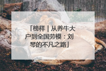榜样｜从养牛大户到全国劳模：刘琴的不凡之路