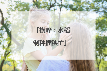 横峰：水稻制种插秧忙