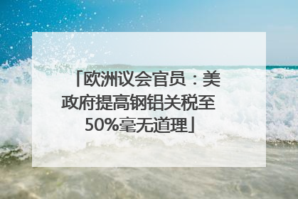 欧洲议会官员：美政府提高钢铝关税至50%毫无道理