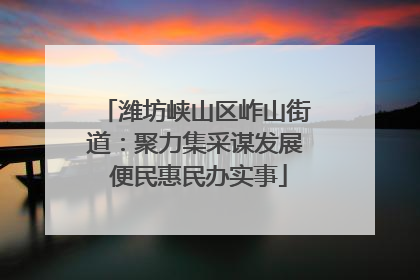 潍坊峡山区岞山街道：聚力集采谋发展 便民惠民办实事