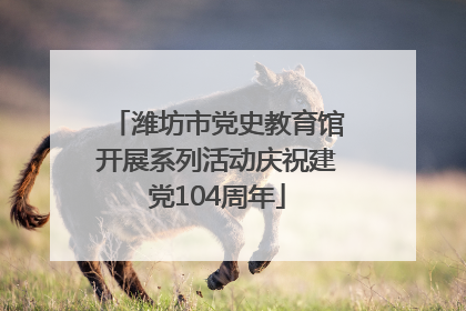 潍坊市党史教育馆开展系列活动庆祝建党104周年