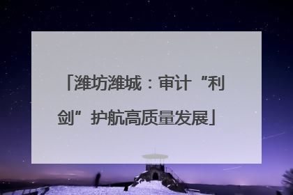 潍坊潍城：审计“利剑”护航高质量发展