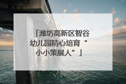 潍坊高新区智谷幼儿园精心培育“小小策展人”
