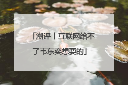 潮评丨互联网给不了韦东奕想要的