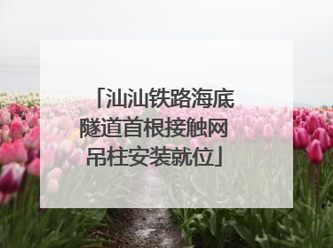 汕汕铁路海底隧道首根接触网吊柱安装就位