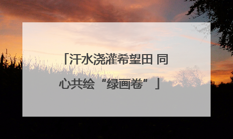 汗水浇灌希望田 同心共绘“绿画卷”