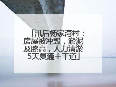 汛后杨家湾村：房屋被冲毁，淤泥及膝高，人力清淤5天复通主干道
