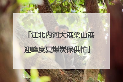 江北内河大港梁山港迎峰度夏煤炭保供忙