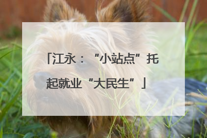 江永：“小站点”托起就业“大民生”