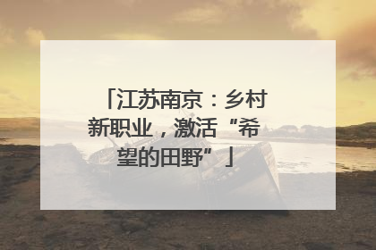 江苏南京：乡村新职业，激活“希望的田野”