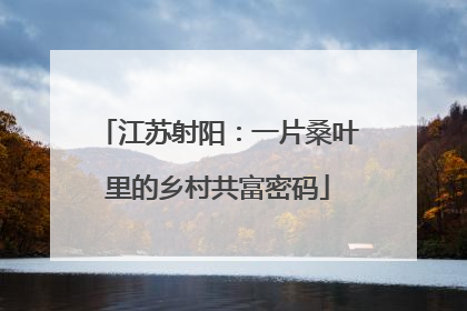江苏射阳：一片桑叶里的乡村共富密码