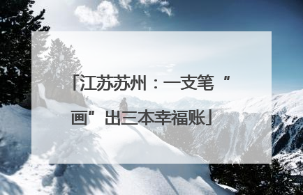 江苏苏州：一支笔“画”出三本幸福账