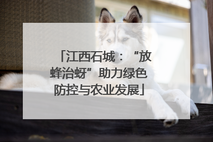 江西石城：“放蜂治蚜”助力绿色防控与农业发展
