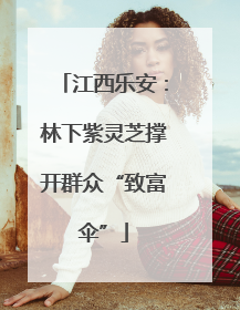 江西乐安：林下紫灵芝撑开群众“致富伞”