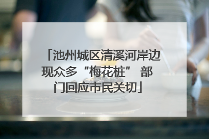 池州城区清溪河岸边现众多“梅花桩” 部门回应市民关切