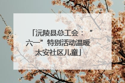 沅陵县总工会：“六一”特别活动温暖太安社区儿童