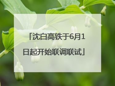 沈白高铁于6月1日起开始联调联试