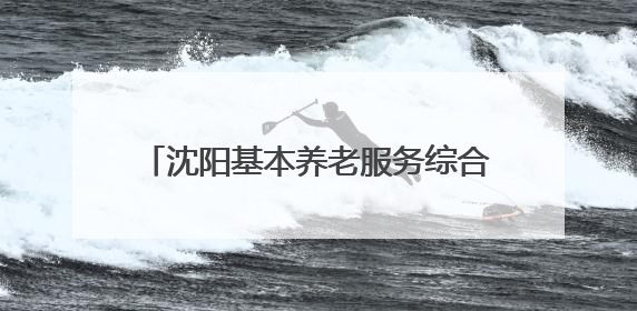 沈阳基本养老服务综合平台“盛情康养”上线