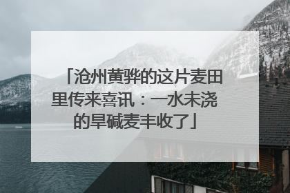 沧州黄骅的这片麦田里传来喜讯：一水未浇的旱碱麦丰收了
