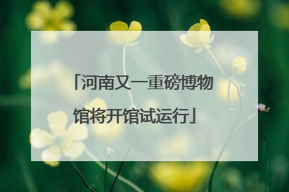 河南又一重磅博物馆将开馆试运行