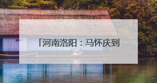 河南洛阳：马怀庆到偃师区指导调研防汛综合应急演练等工作