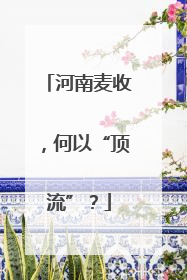 河南麦收，何以“顶流”？