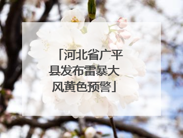 河北省广平县发布雷暴大风黄色预警
