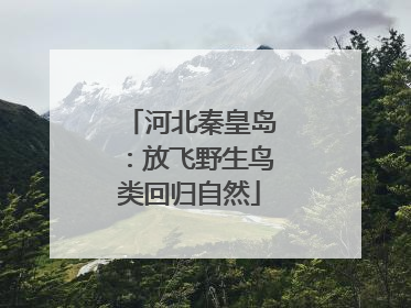 河北秦皇岛：放飞野生鸟类回归自然