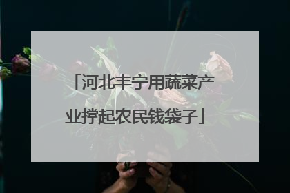 河北丰宁用蔬菜产业撑起农民钱袋子