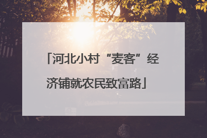 河北小村“麦客”经济铺就农民致富路