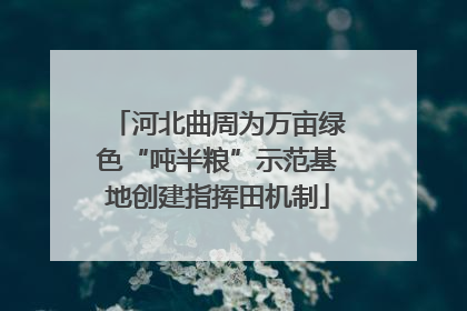 河北曲周为万亩绿色“吨半粮”示范基地创建指挥田机制