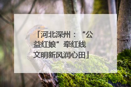 河北深州：“公益红娘”牵红线 文明新风润心田